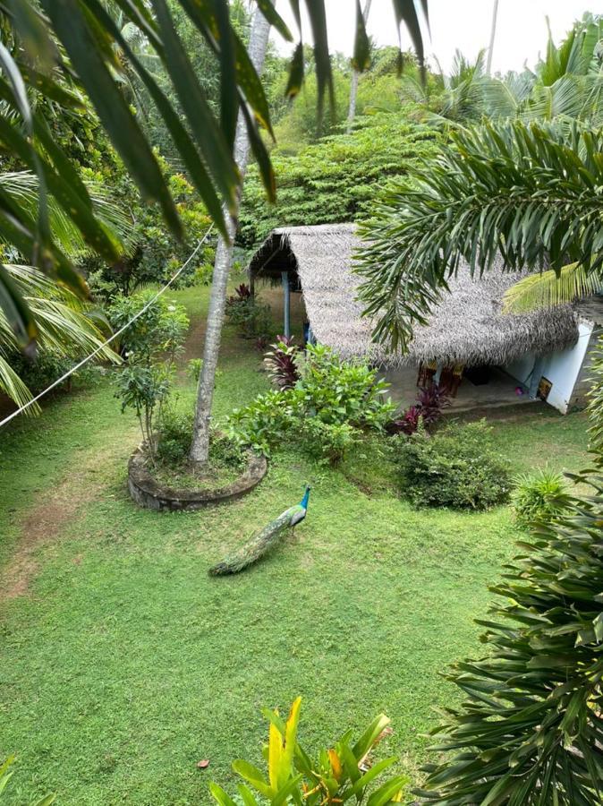 Hiru Villa Tangalle Exterior foto